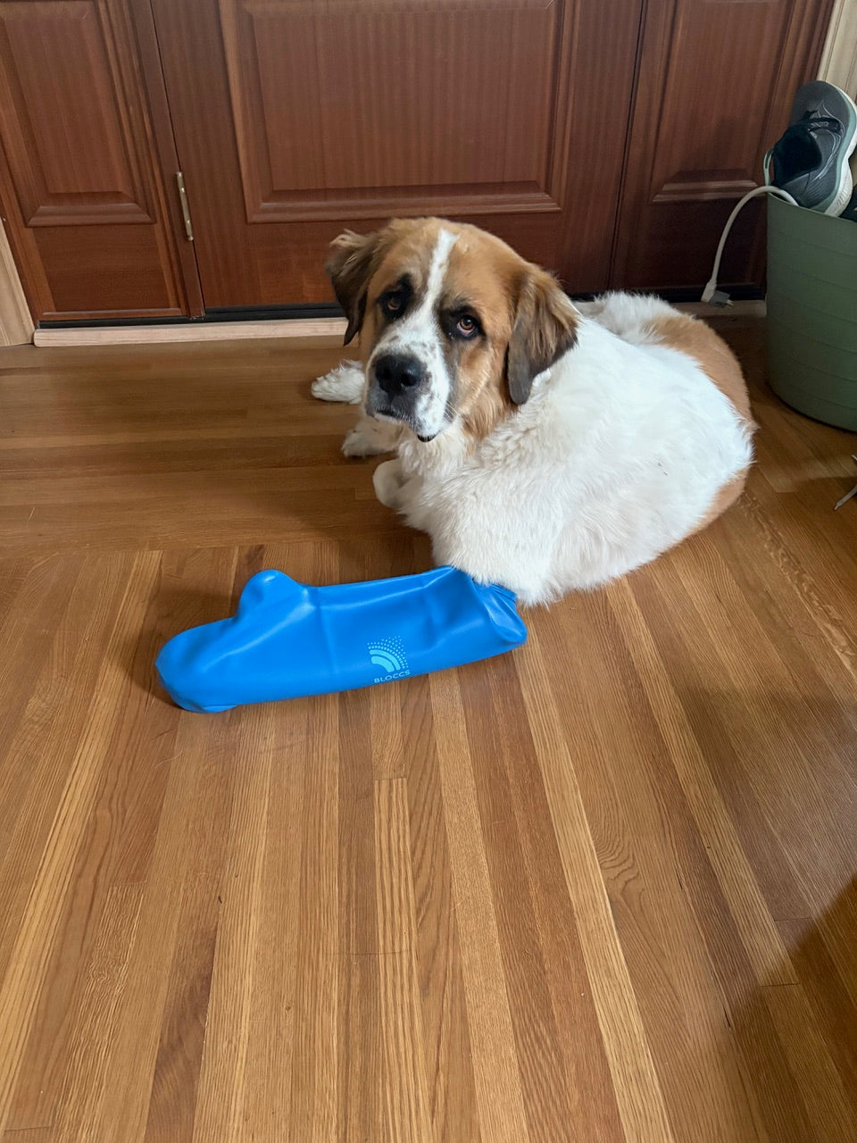 Winnie becomes unlikely winner of our photo competition!